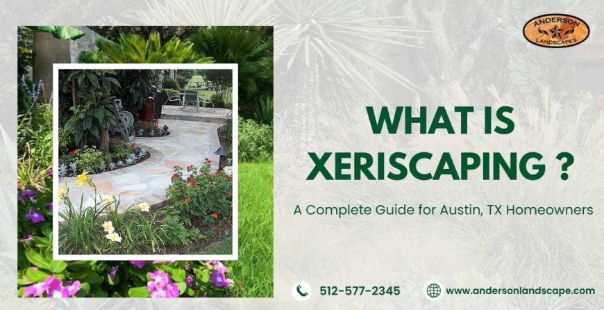 What Is Xeriscaping?
