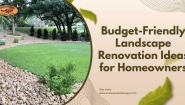 Budget-Friendly Landscape Renovation Ideas for Homeowners