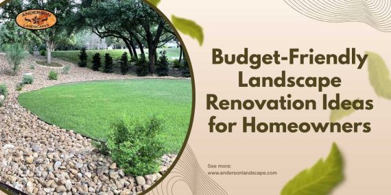 Budget-Friendly Landscape Renovation Ideas for Homeowners