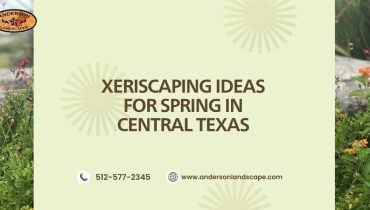 Xeriscaping Ideas for Spring in Central Texas